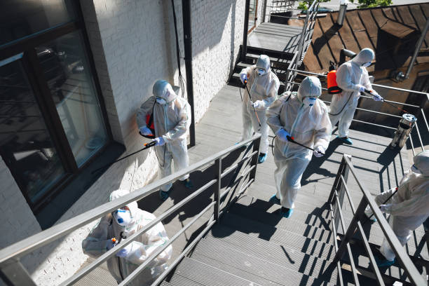 Best Environmental Consulting for Mold Prevention  in Sardis City, AL