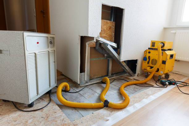 Dehumidification Services in Sardis City, AL