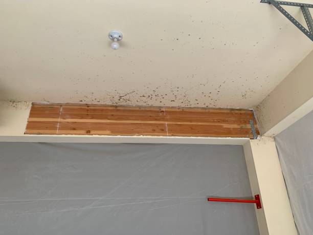 Best Post-Remediation Verification Testing  in Sardis City, AL