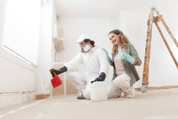 Best Mold Removal for HVAC Installations  in Sardis City, AL