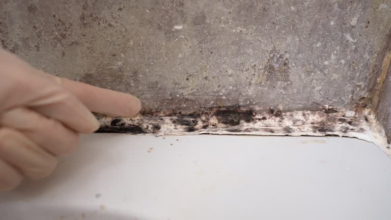 Best Mold-Related Health Consultation  in Sardis City, AL